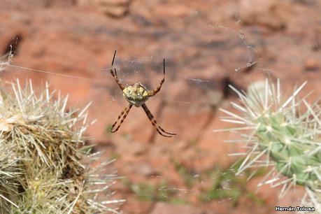 Un día en Lihué Calel