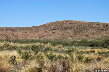 Un día en Lihué Calel