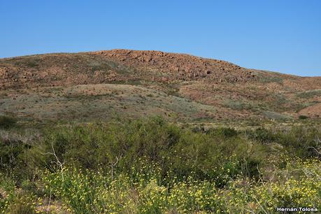 Un día en Lihué Calel