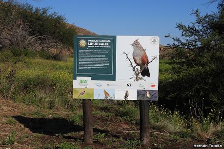 Un día en Lihué Calel