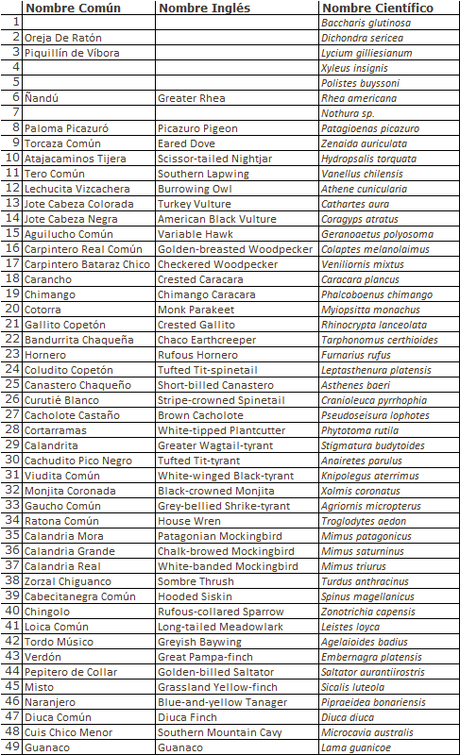 Un día en Lihué Calel