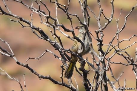 Un día en Lihué Calel