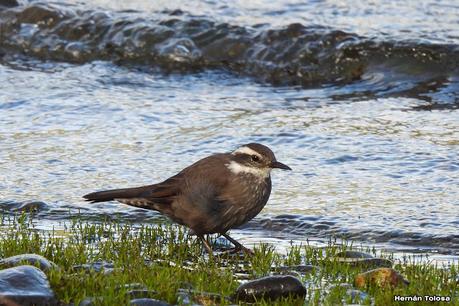 San Martin de los Andes (otoño 2025)