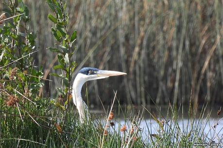 San Martin de los Andes (otoño 2025)