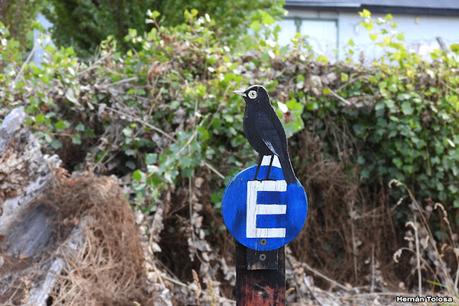 San Martin de los Andes (otoño 2025)