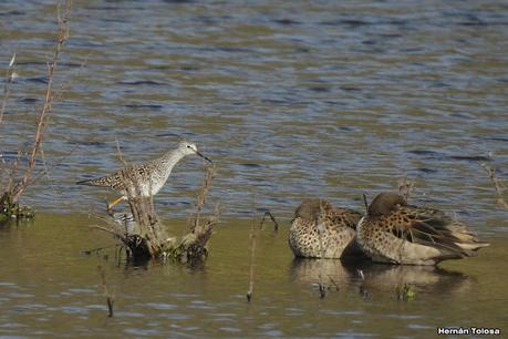San Martin de los Andes (otoño 2025)