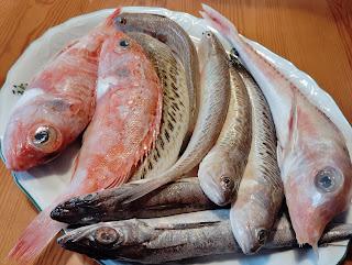 CAZUELA DE ARROZ CALDOSO DE PESCADOS Y MARISCOS