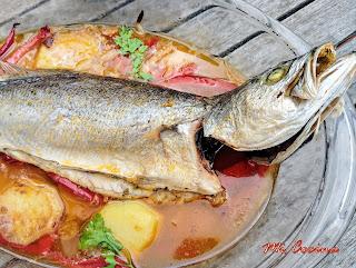 CORVINA REAL AL HORNO CORVINA REAL AL HORNO