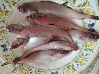 CAZUELA DE ARROZ CALDOSO CON BROTOLAS Y GAMBAS ROJAS CAZUELA DE ARROZ CALDOSO CON BROTOLAS Y GAMBAS ROJAS