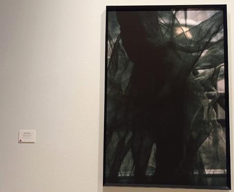 Blogssipgirl visitado: exposición 