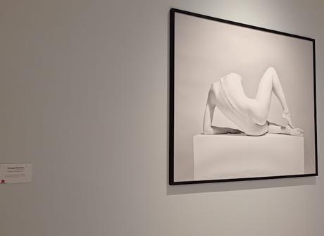 Blogssipgirl visitado: exposición 