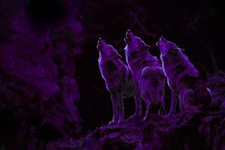 REALIDADES Y FICCIONES —Revista Literaria— Nº 62 – J...