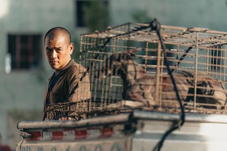 BLACK DOG -EL MEJOR AMIGO DEL HOMBRE BLACK DOG -EL MEJOR AMIGO DEL HOMBRE