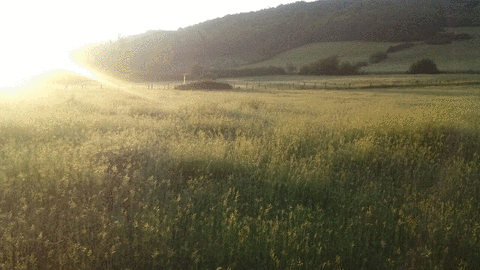 Reseña: Las canciones tristes ya no hablan de mí - Clàudia Costas Güell
