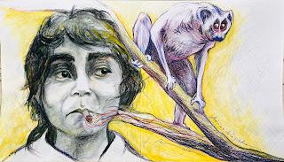 … Dualismo Urbano …