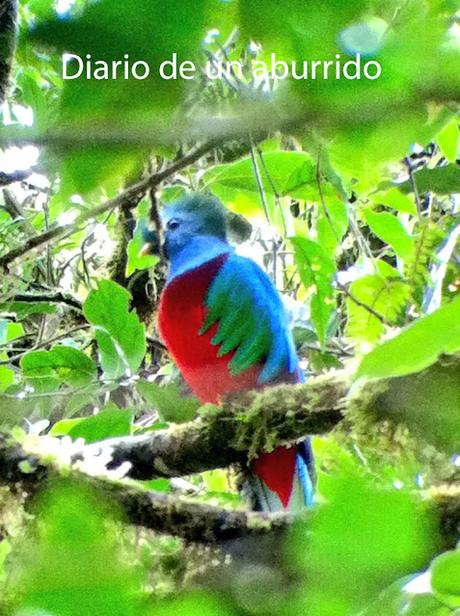 Psichopompe y El imposible retorno de Amélie Nothomb