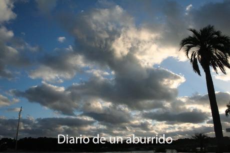 Psichopompe y El imposible retorno de Amélie Nothomb