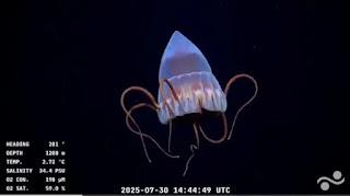 El corresponsal del Fin del Mundo: Las profundidades de la Argentina El corresponsal del Fin del Mundo: Las profundidades de la Argentina