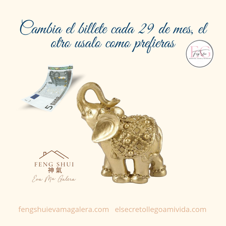 💵🐘Ritual del Elefante para la Abundancia 🐘