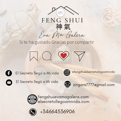 🪔Estos son los días del mes Mono  🐒ideales para limpiar.