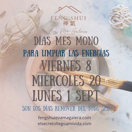 🪔Estos son los días del mes Mono  🐒ideales para limpiar.