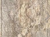 Lápidas mármol pies Giralda (3): Marco Julio Hermesiano..."