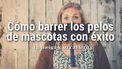 Cómo barrer los pelos de mascotas con éxito