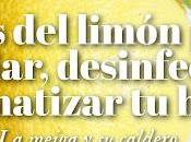 Usos Limón para Limpiar, Desinfectar Aromatizar Hogar