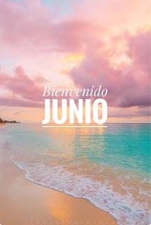 FALDA + BOLSO CON FLORES FALDA + BOLSO CON FLORES