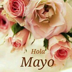 OTRA MANTA DE ZIG-ZAG PARA REGALAR OTRA MANTA DE ZIG-ZAG PARA REGALAR