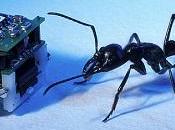 fábula robot hormiga