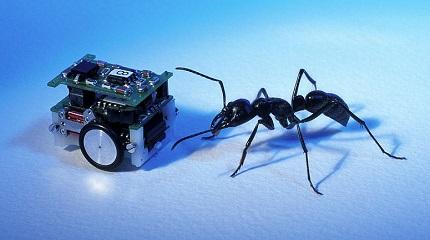 La fábula del robot y la hormiga