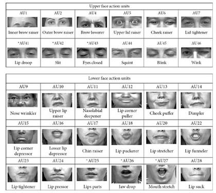 Human-Robot Interaction y los posibles modelos emocionales