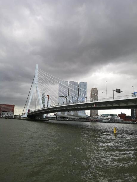 que visitar en rotterdam