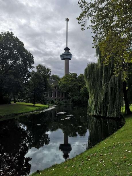 cosas que ver en rotterdam