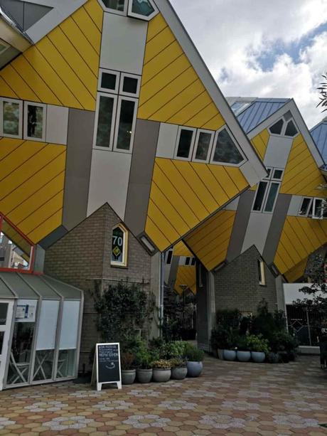 viaje a rotterdam que ver