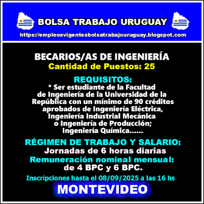 BECARIOS-AS DE INGENIERÍA BECARIOS-AS DE INGENIERÍA
