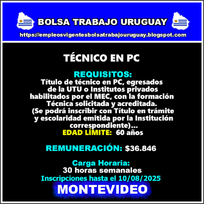 TÉCNICO EN PC TÉCNICO EN PC