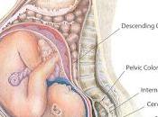 ¡Estoy preparada para esto!