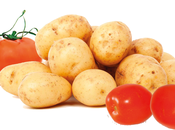 hazaña evolutiva debemos papas