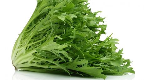 Achicoria: La Planta Versátil con Sabor y Beneficios