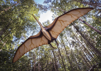 De dinosaurios a aves: así se formaron las primeras plumas