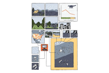 Los dinosaurios no estaban desapareciendo antes del asteroide, sino que el registro fósil estaba sesgado
