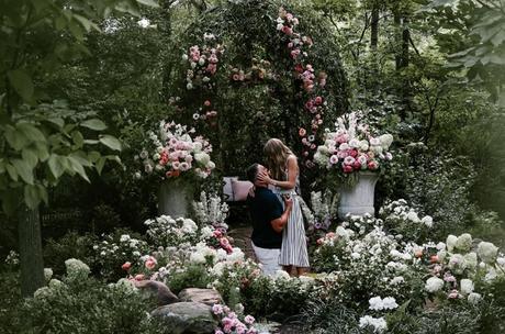 relacion de Taylor y Travis