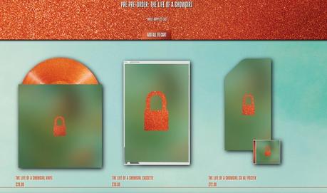 The Life of A Showgirl