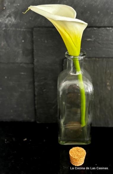 Pollo Stroganoff byJose: #HomenajeBlog