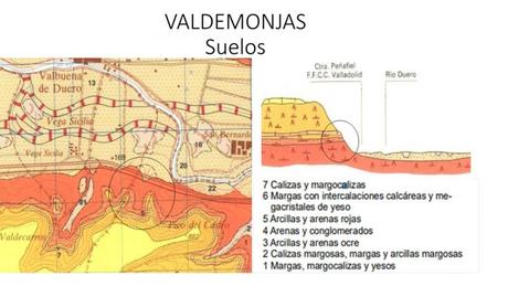 El Primer Beso 2023 El Primer Beso 2023