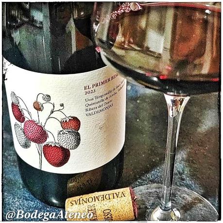 El Primer Beso 2023 El Primer Beso 2023