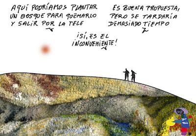 Perros y coches contra un toro en Guadalajara. Perros y coches contra un toro en Guadalajara.