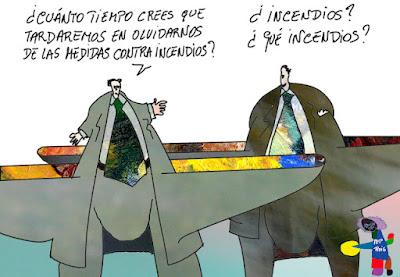 Perros y coches contra un toro en Guadalajara. Perros y coches contra un toro en Guadalajara.